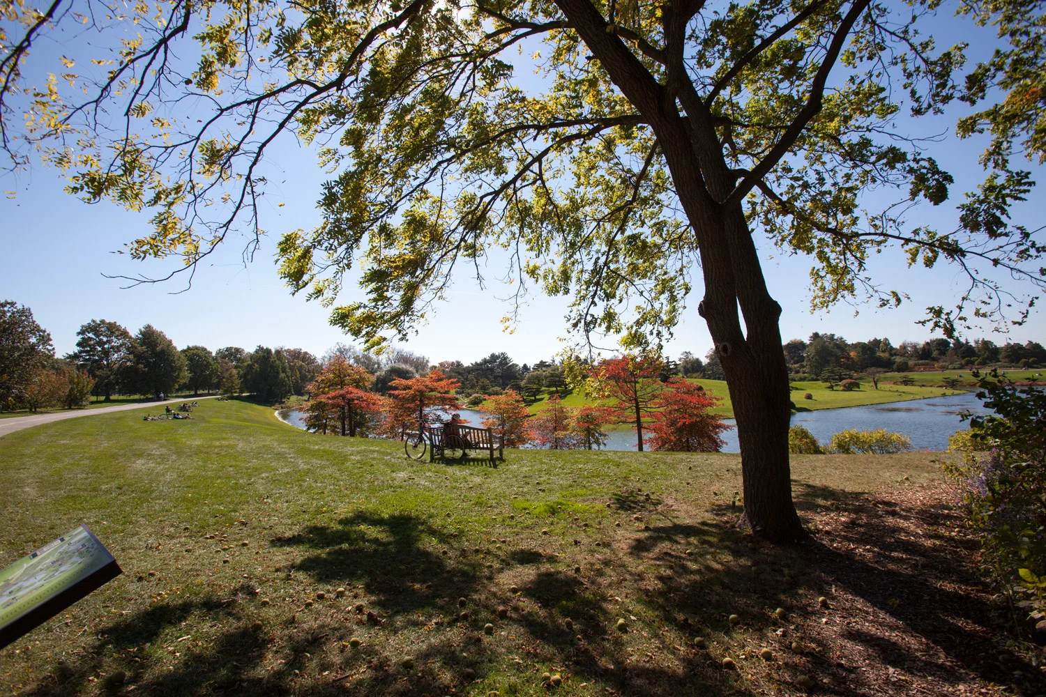 North Branch Trail at Chicago Botanic Gardens