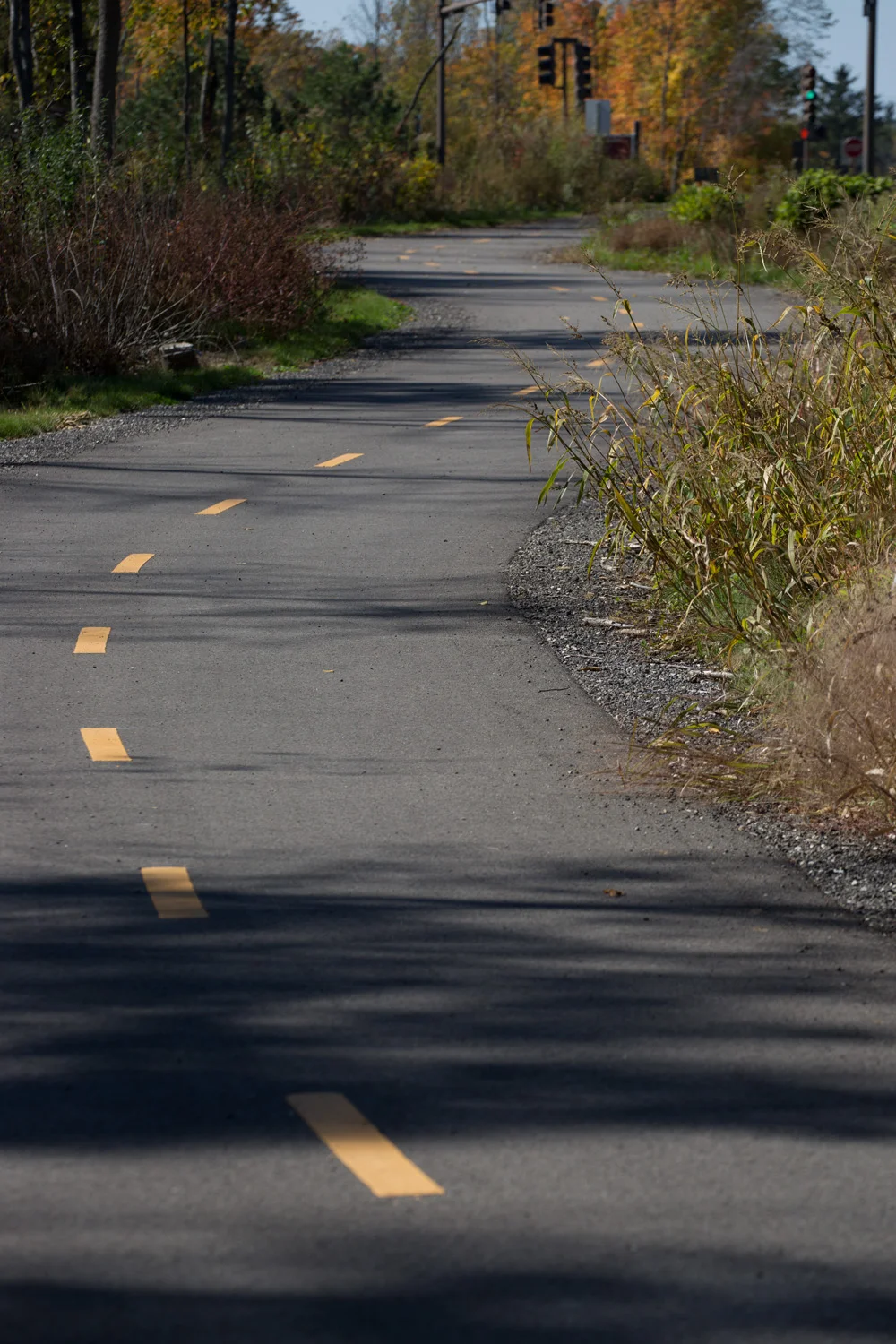 North Branch Trail 