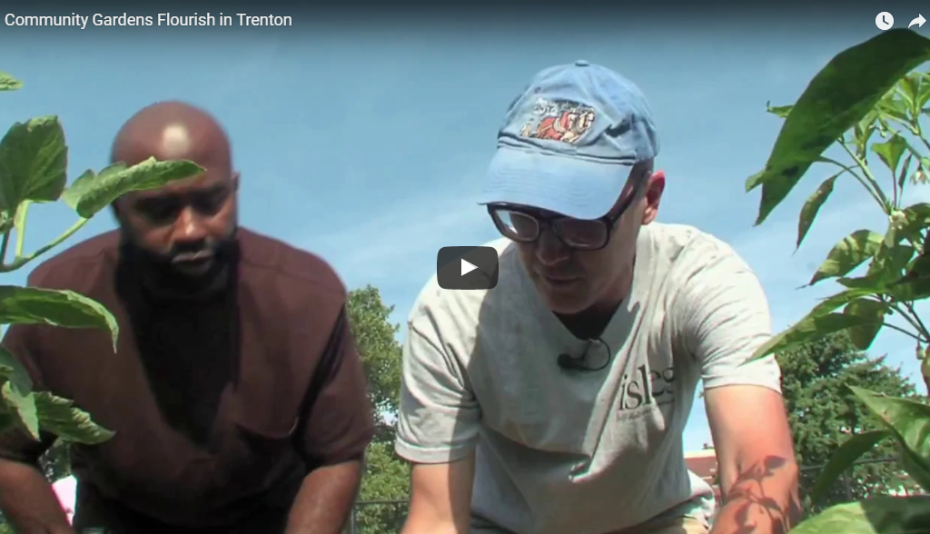 Video: Community Gardens Flourish in Trenton [3:20]