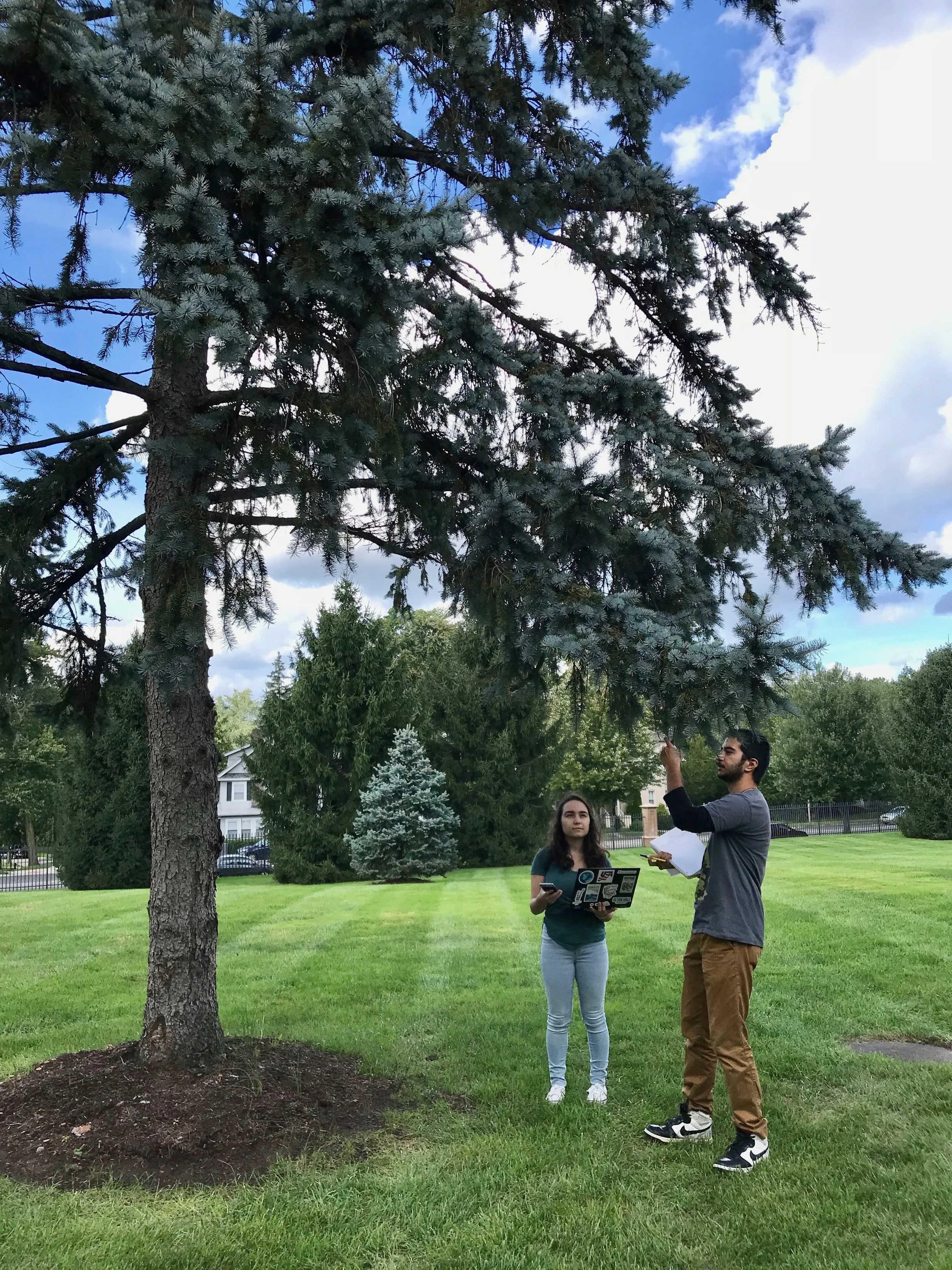 Seton Hall students Saveria Antonacci and Maharsh Barot identifying trees on campus.