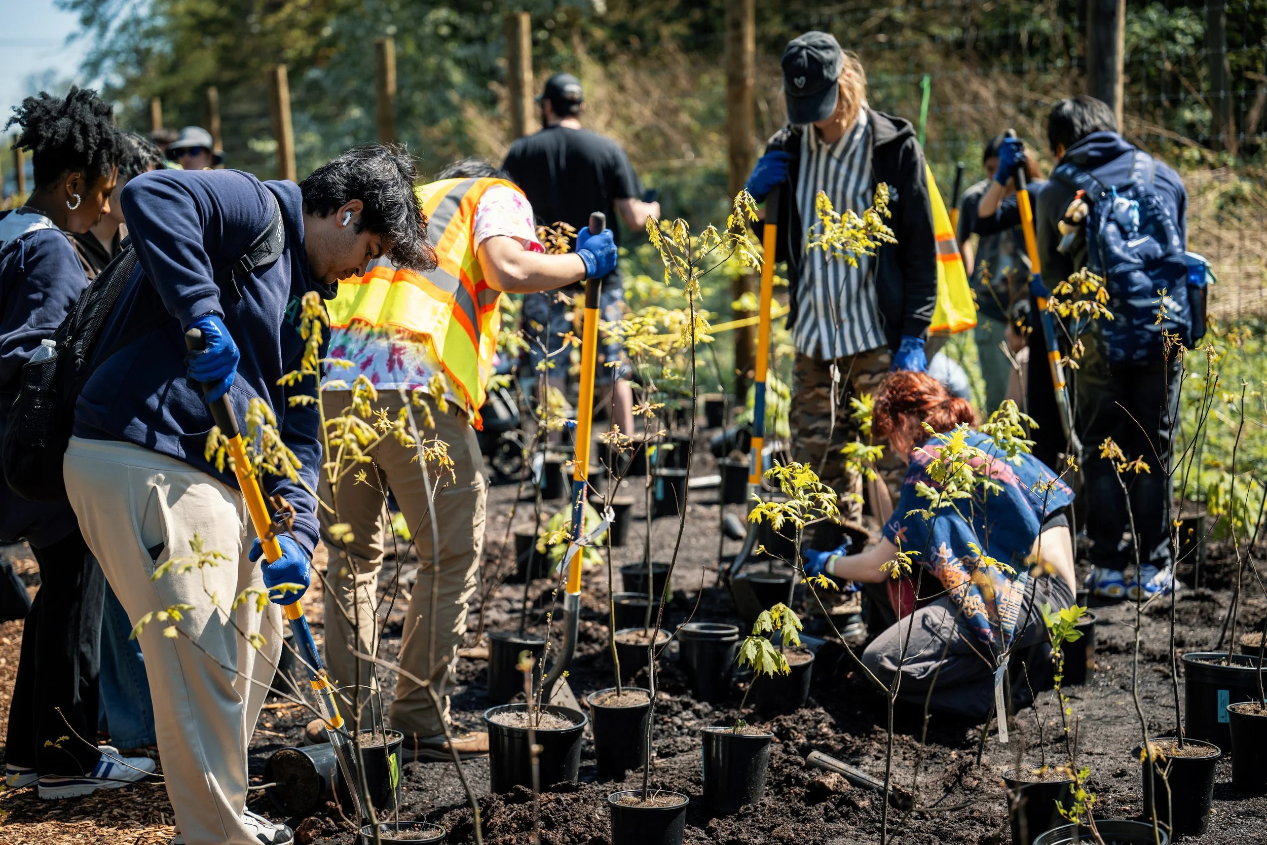 3,000 young trees ready for planting; Rutgers student planters