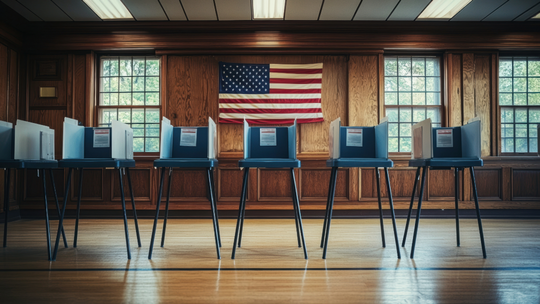 Registered to vote, what happens now?