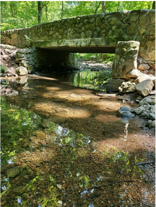 What is a Watershed? You're Living in One!