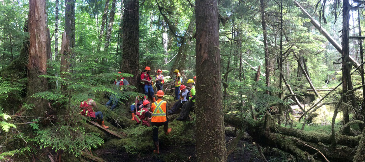 Jennifer Houghton Hit the Road for Long-term Forest Health in British Columbia 