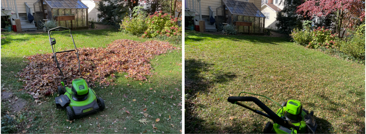 Beyond the Leaf Blower Ban: What Happens When Leaves Stay Put? 