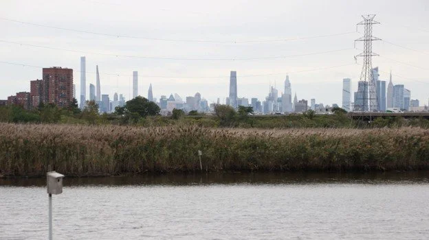 Imagining the Wetlands’ Past and Future with Robert Sullivan