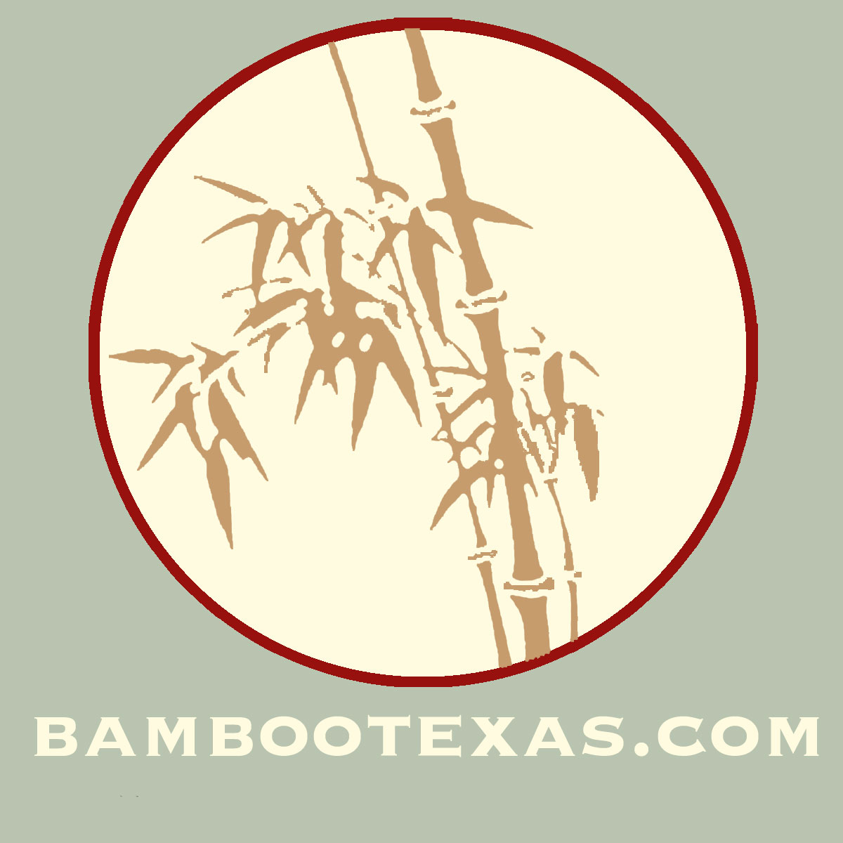 BAMBOOTEXAS.COM