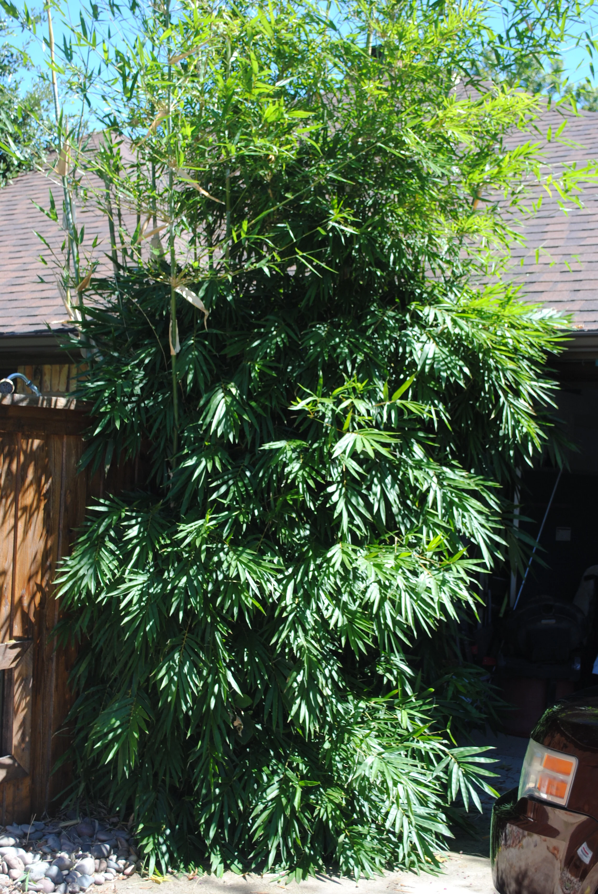 Customer Gallery —