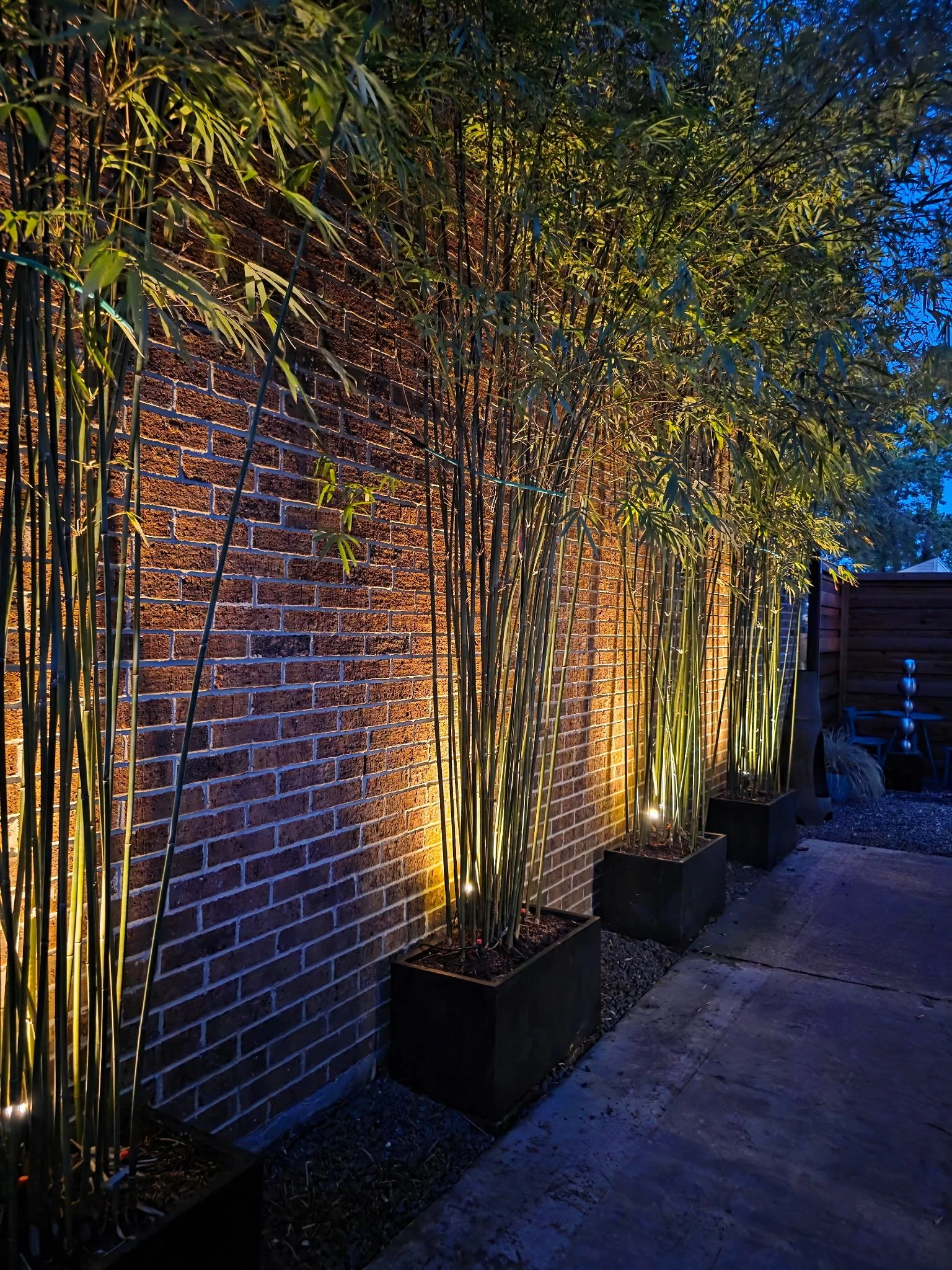 5449436245295511351 3.jpeg