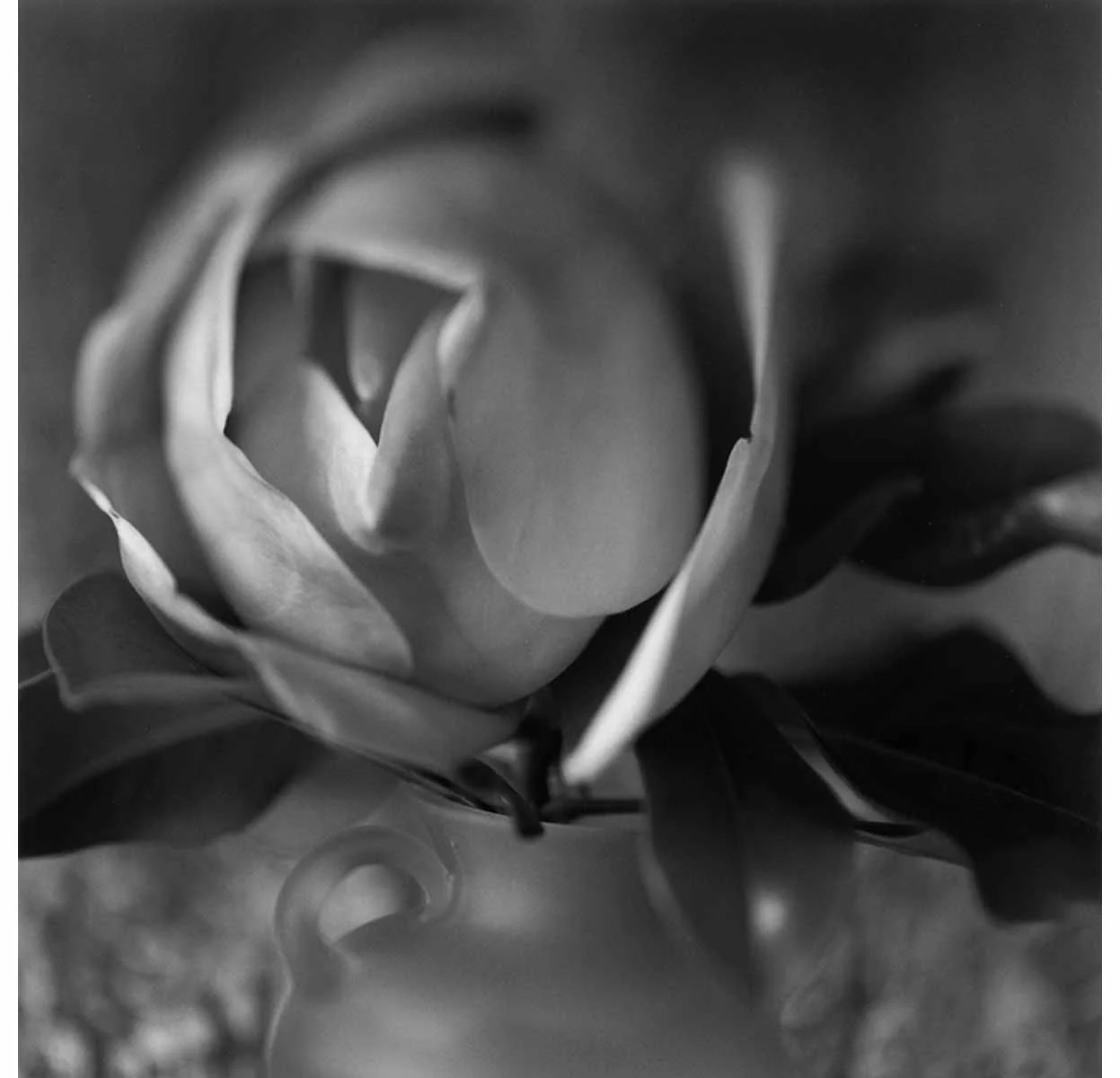 Brigitte Carnochan