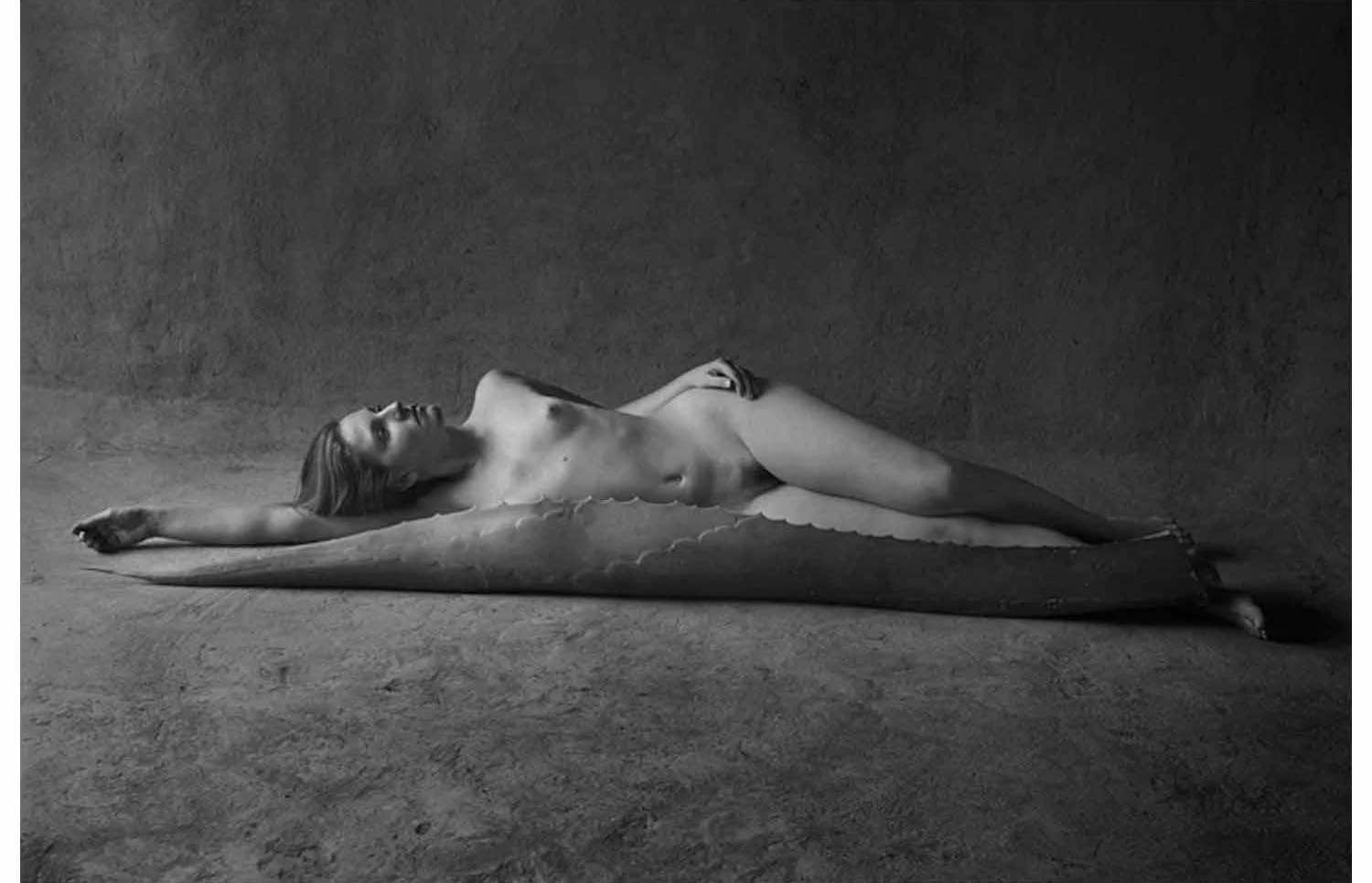 Flor Garduno