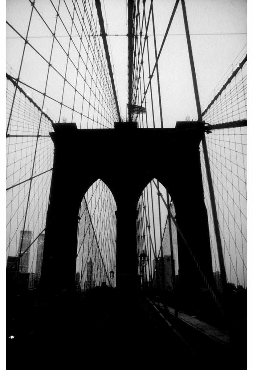 New York, Sheila Metzner