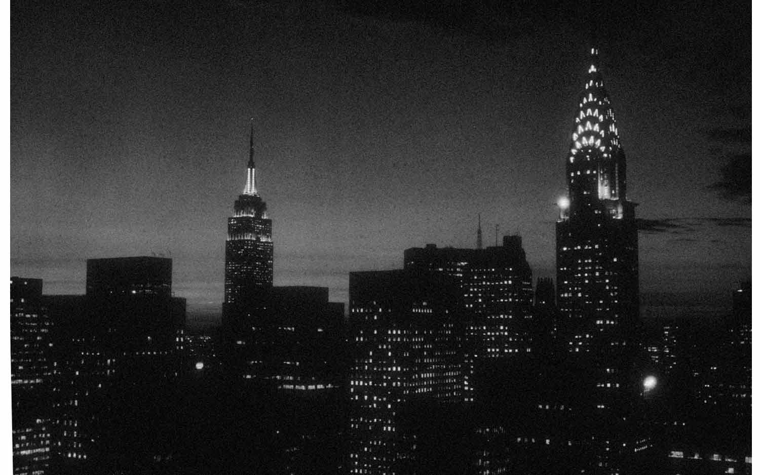 New York, Sheila Metzner