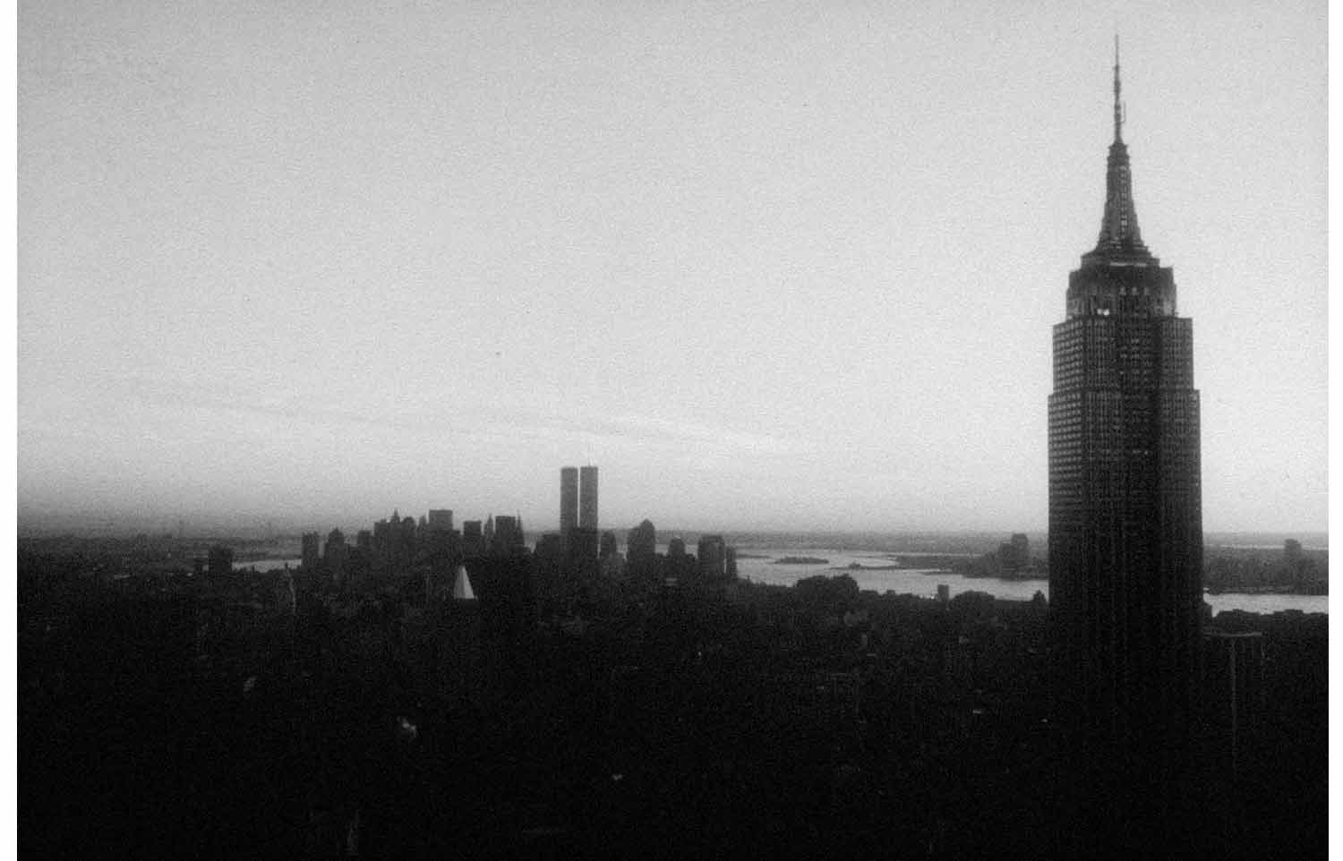 New York, Sheila Metzner