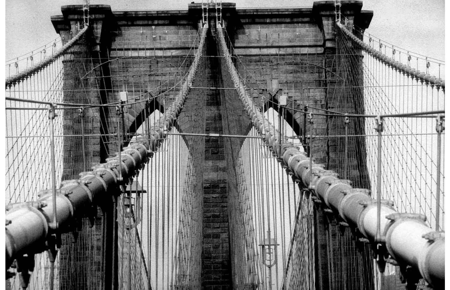 New York, Sheila Metzner