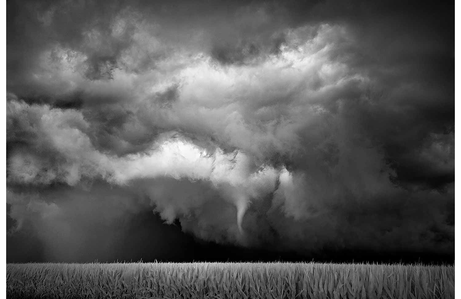 Mitch Dobrowner