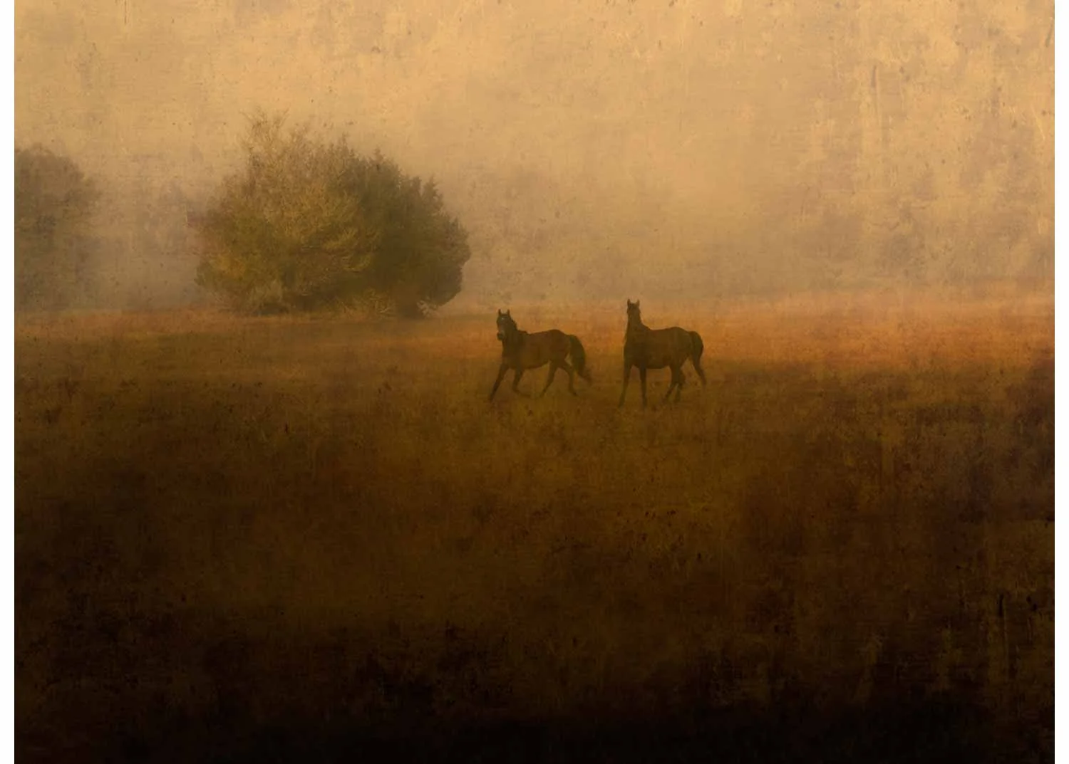 Jack Spencer
