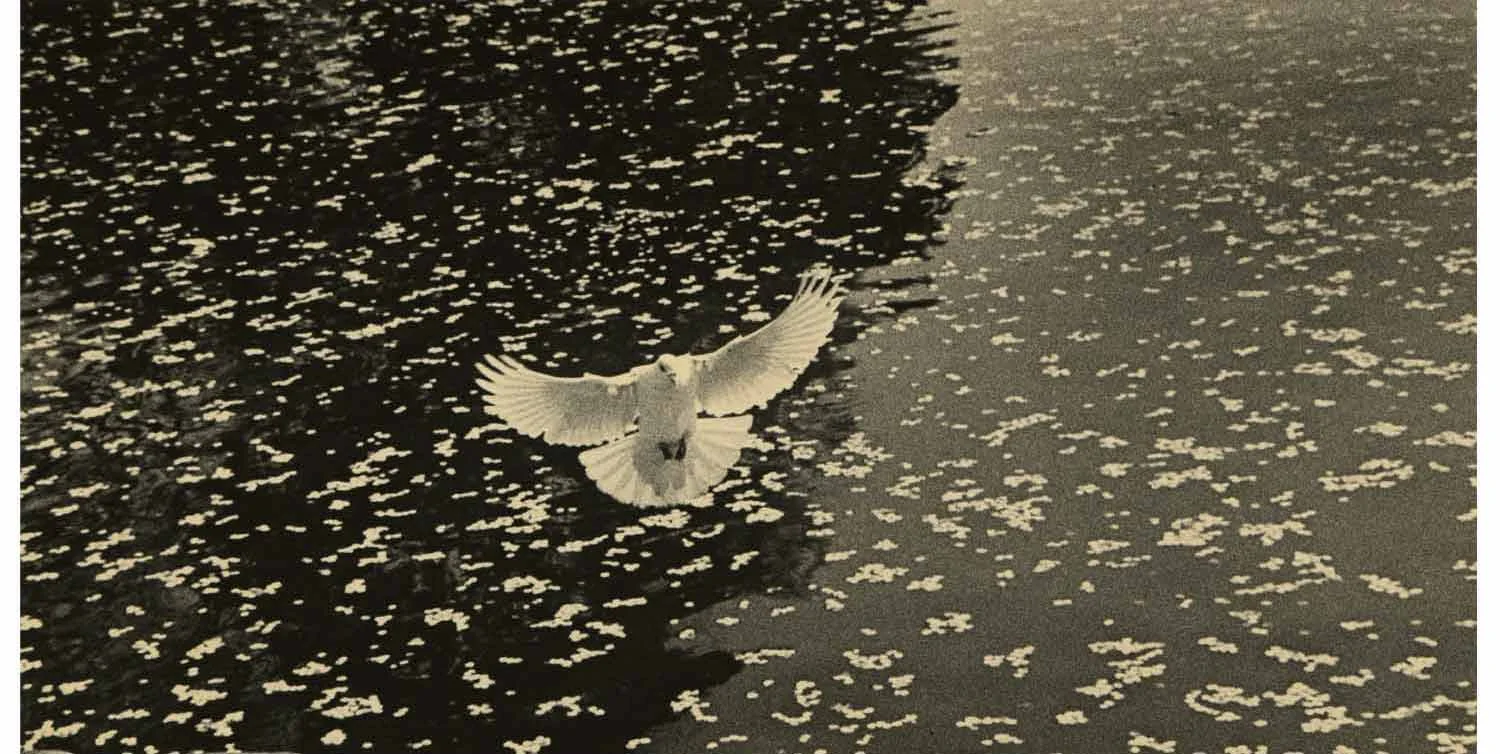 Yamamoto Masao