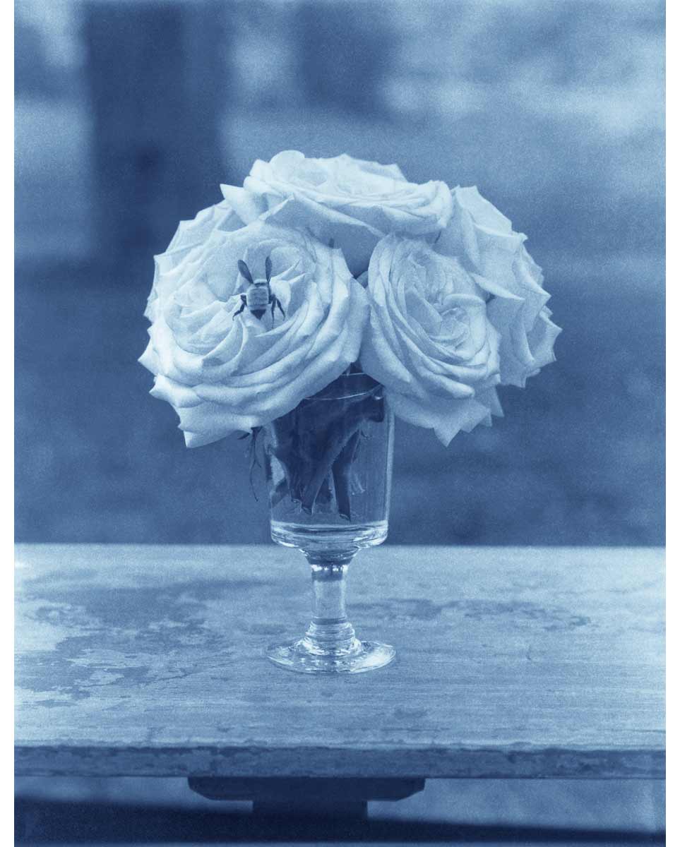 John Dugdale