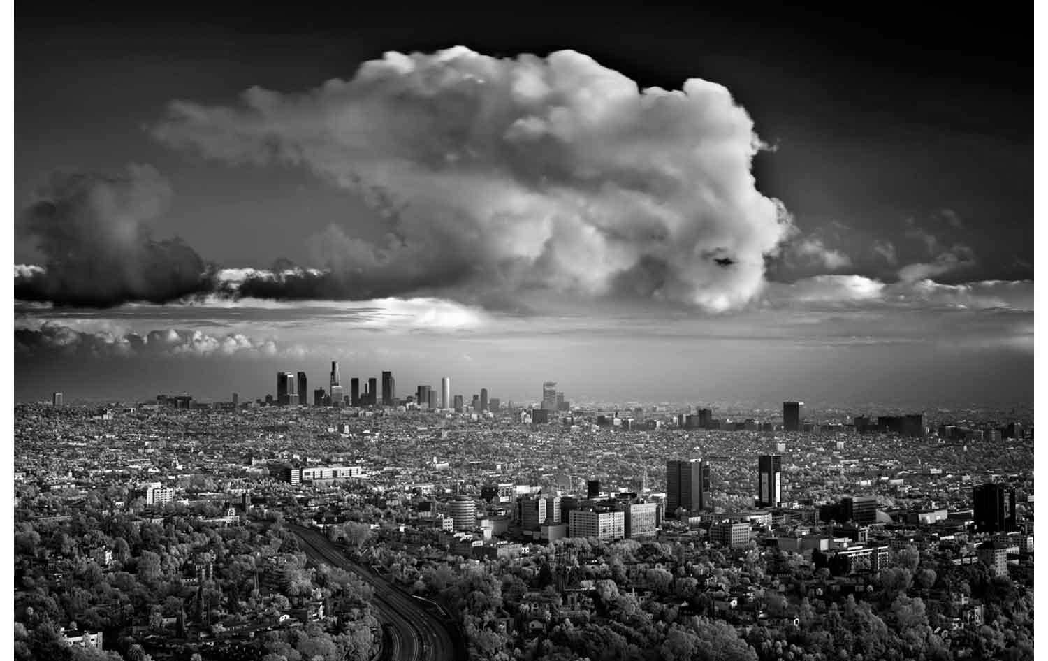 Mitch Dobrowner