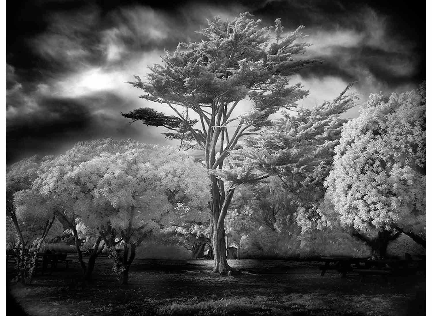 Mitch Dobrowner
