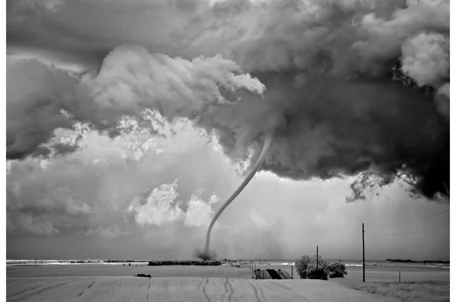 Mitch Dobrowner