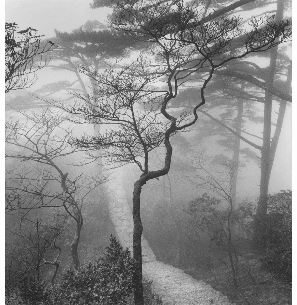 Michael Kenna