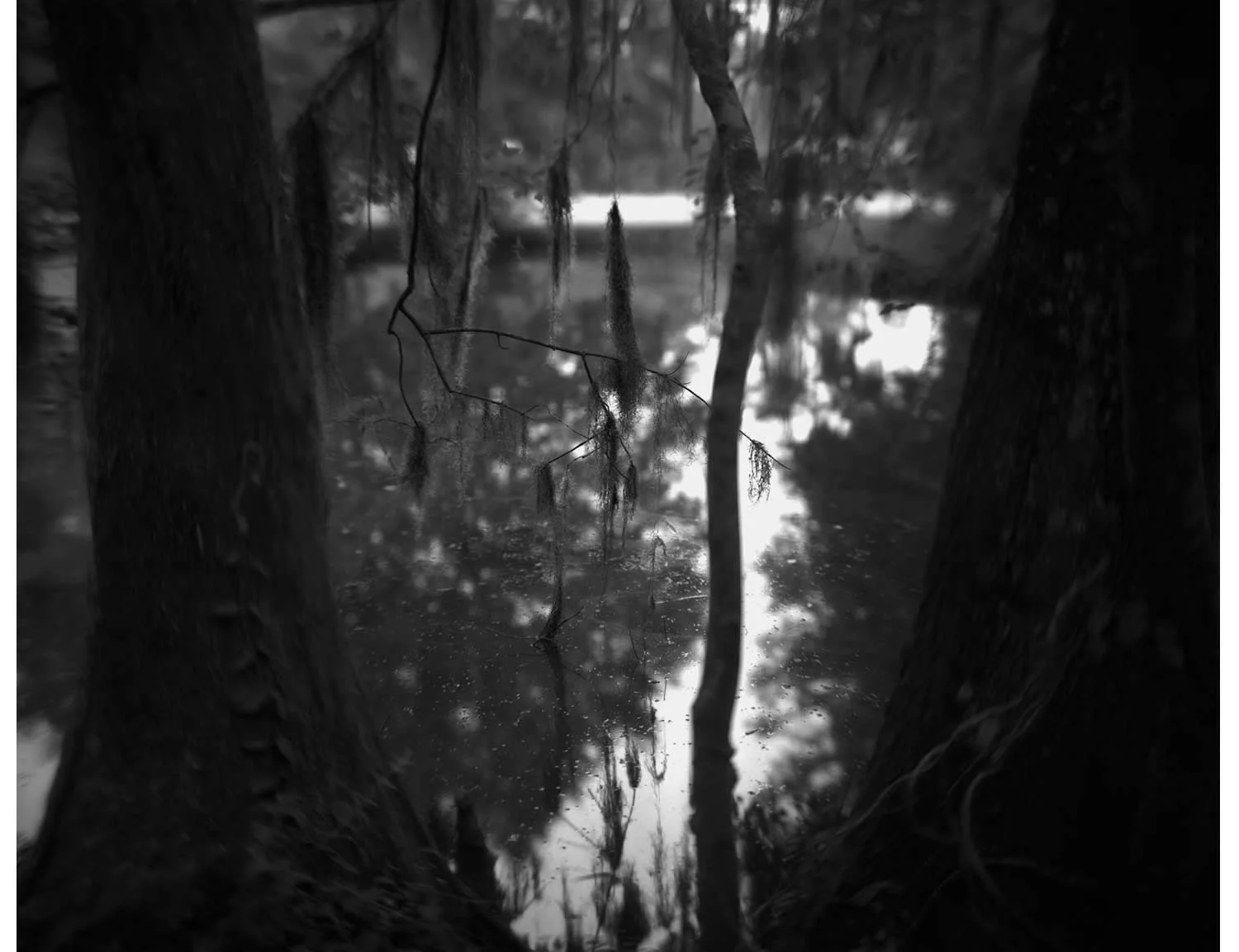 Sally Mann