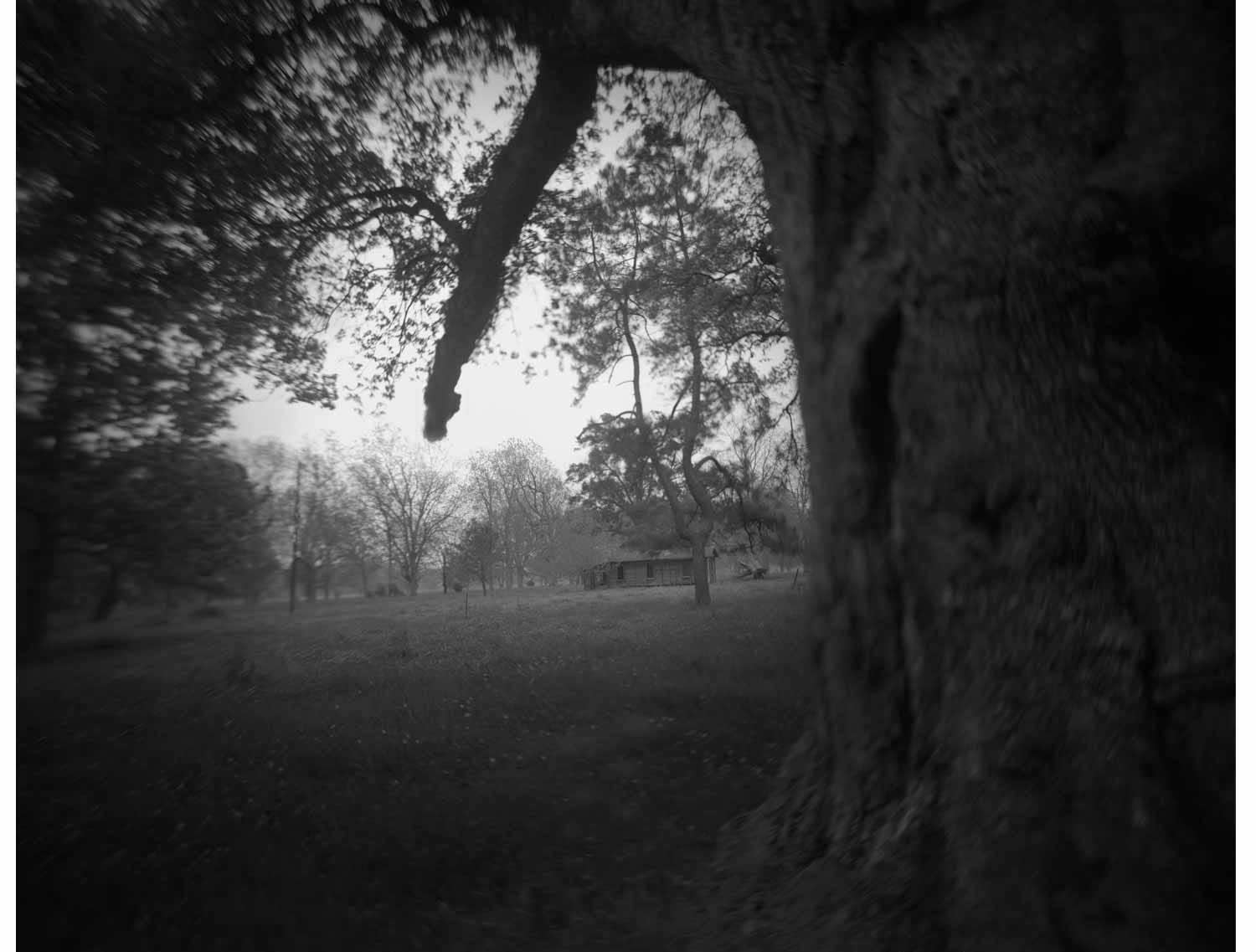 Sally Mann