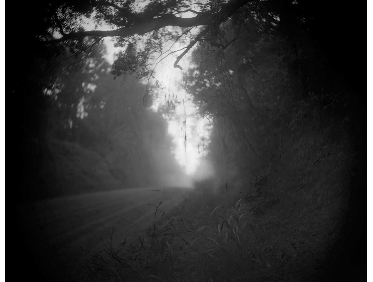 Sally Mann