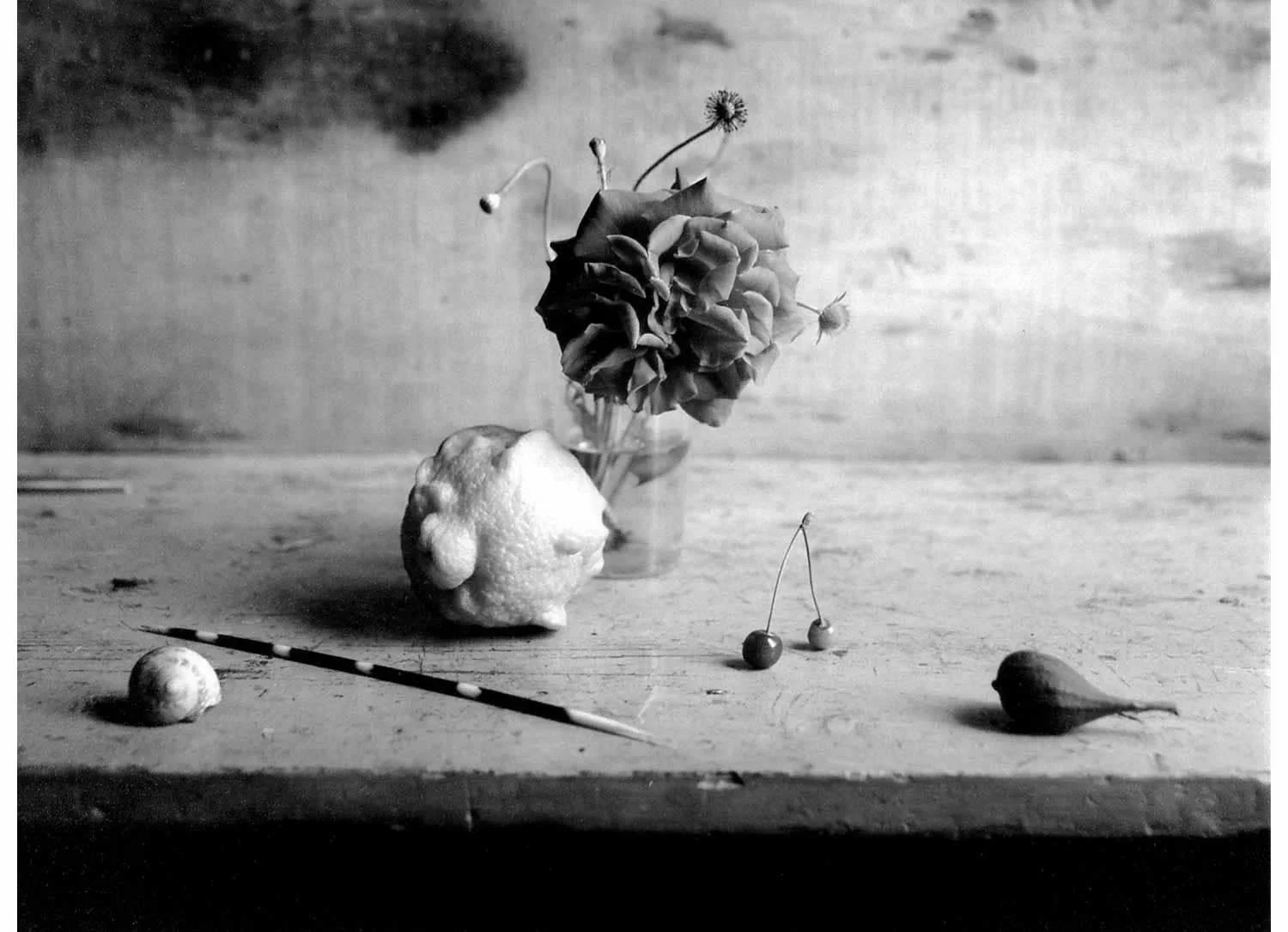 David Halliday