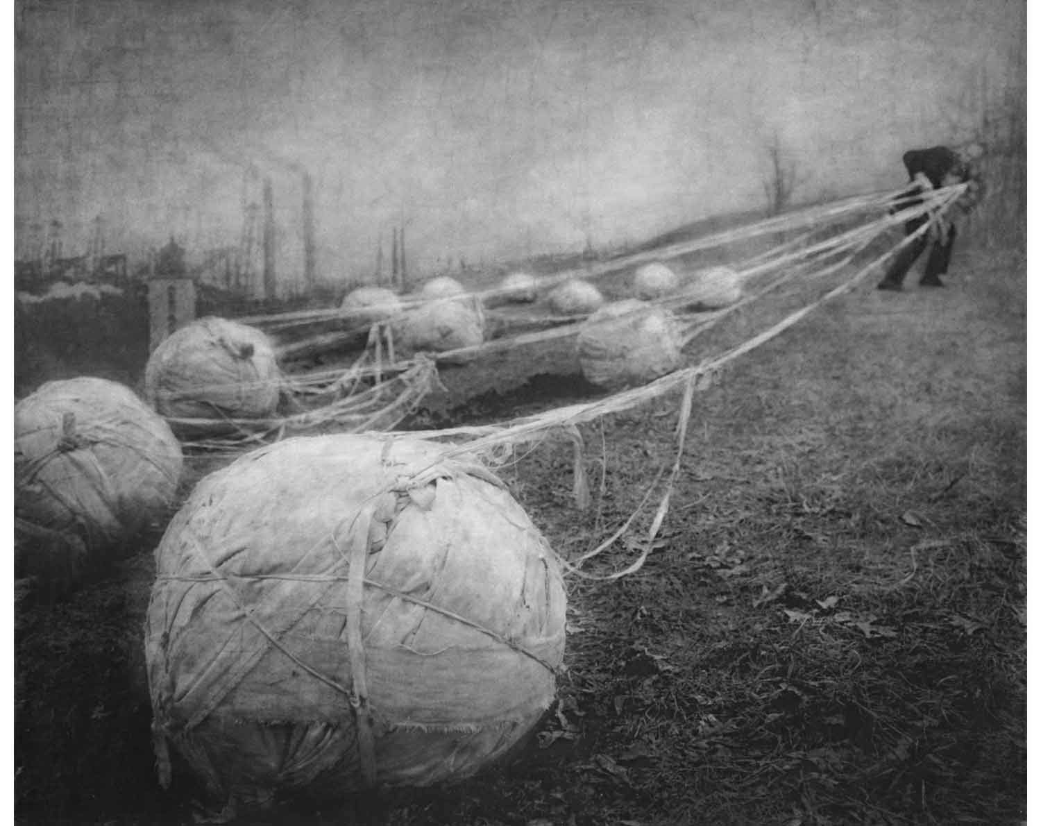 Robert and Shana ParkeHarrison