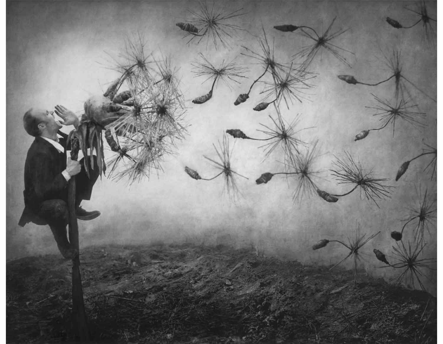 Robert and Shana ParkeHarrison