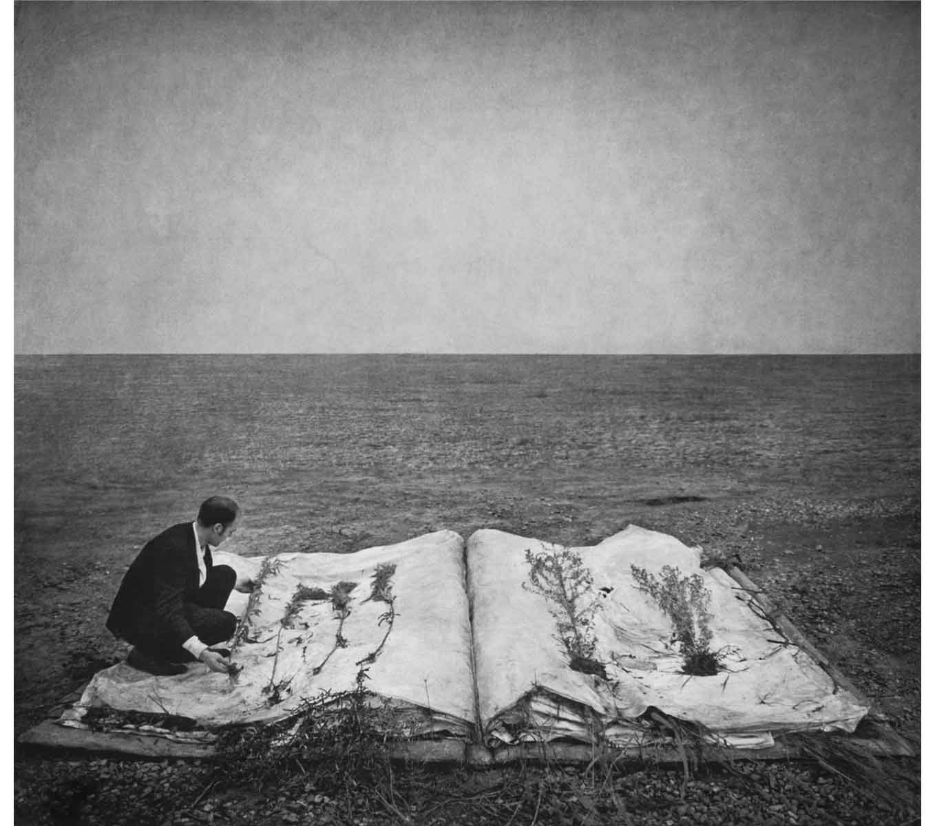 Robert and Shana ParkeHarrison