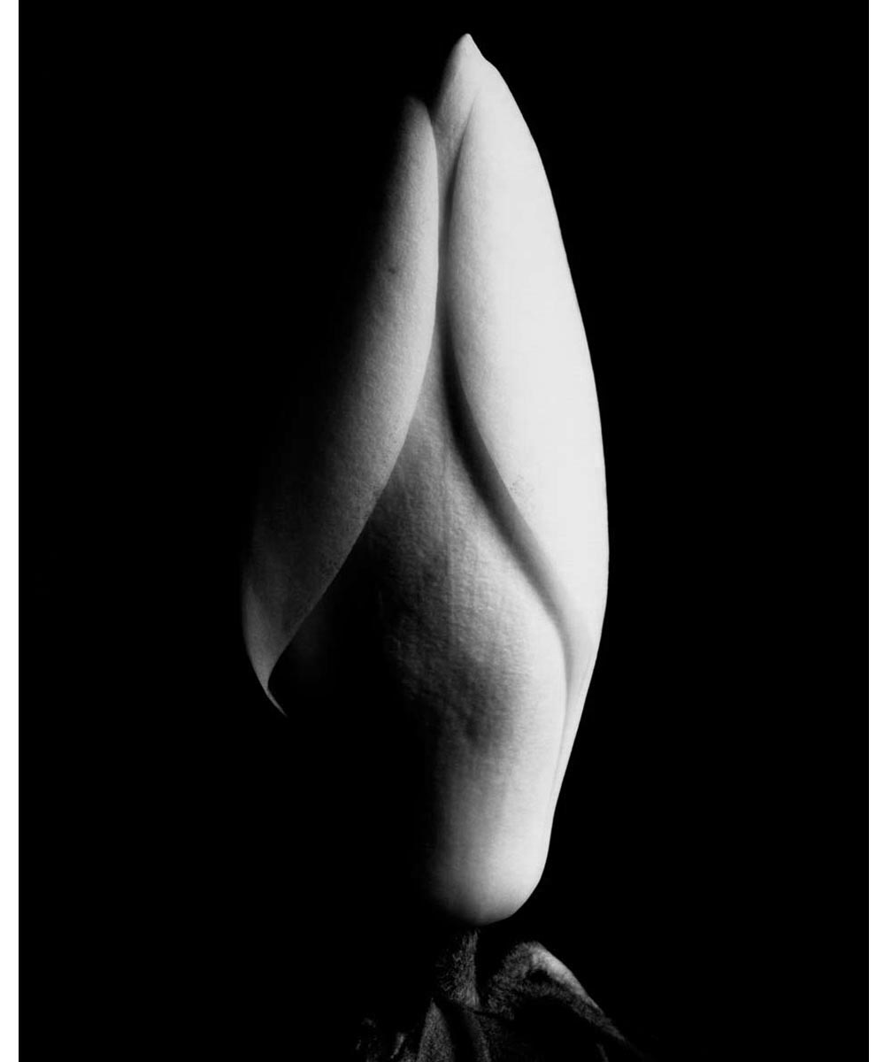 Imogen Cunningham