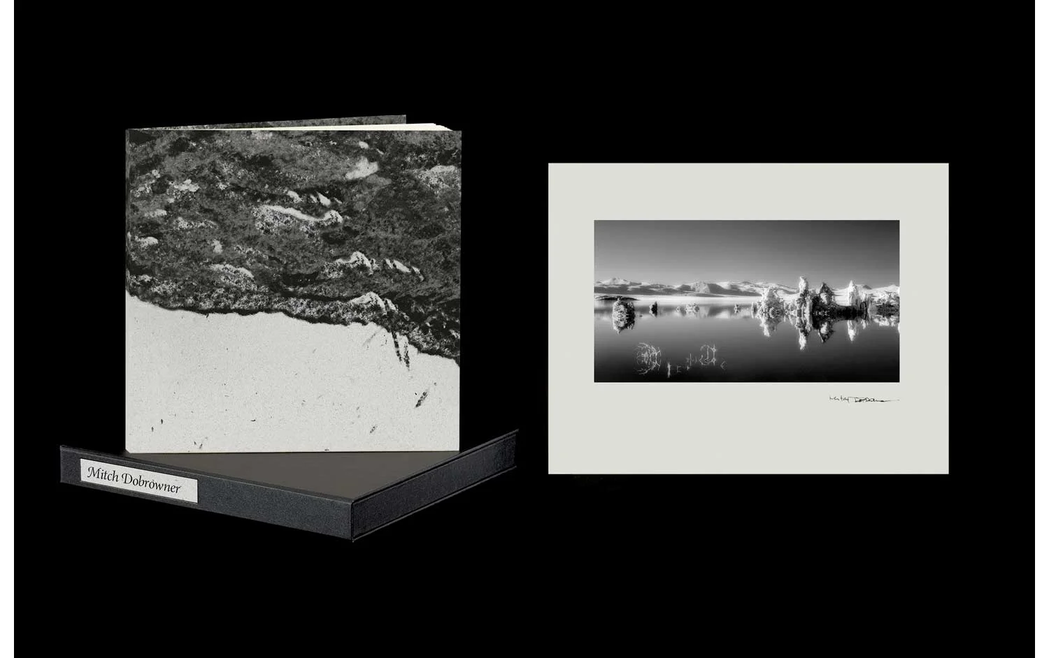 Prism Series Book #2, Mitch Dobrowner