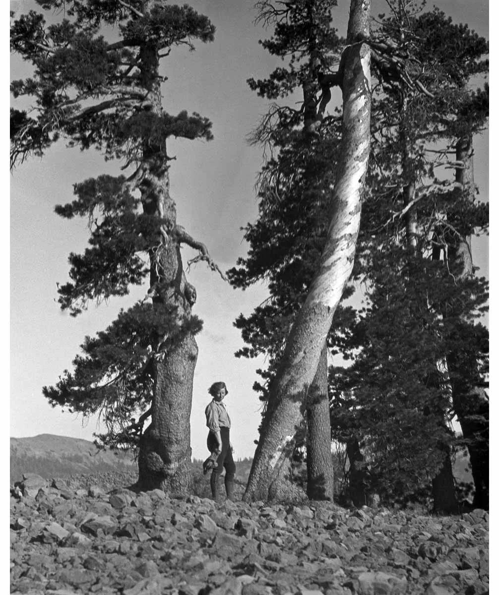Imogen Cunningham