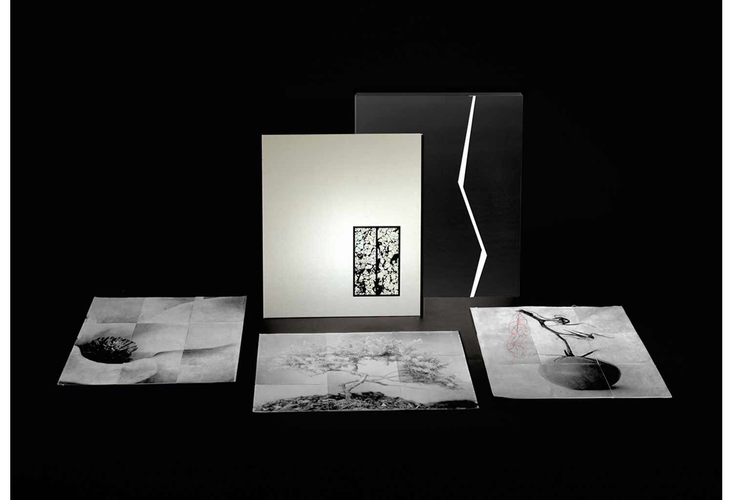 Cracked: The Art of Charles Grogg