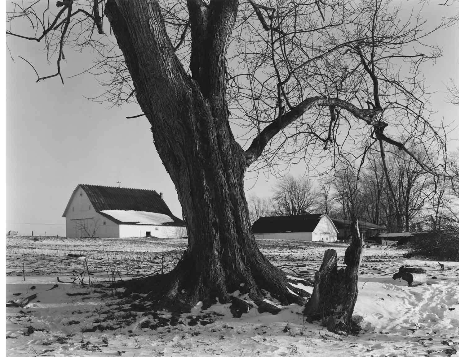 George Tice, The Janus Turn