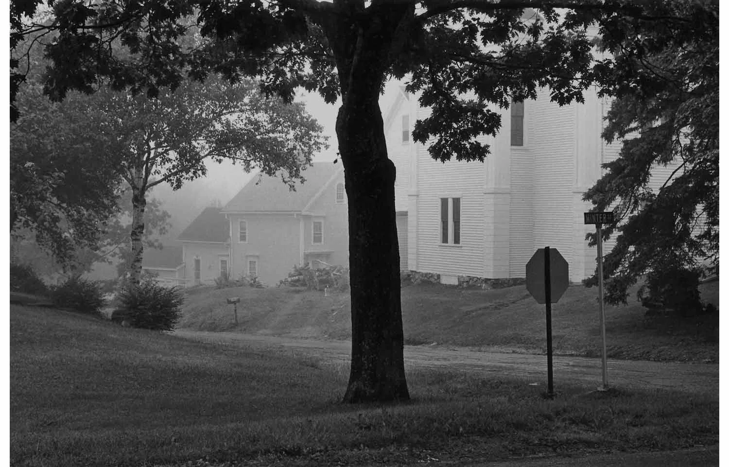 George Tice