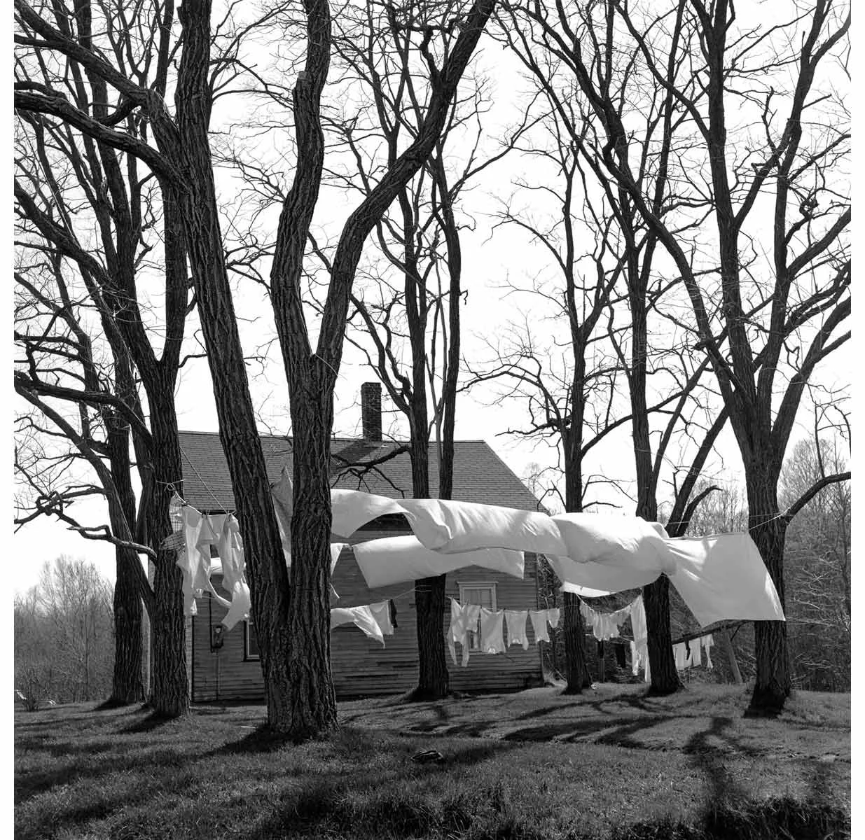 George Tice
