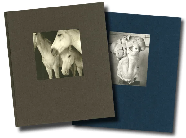 Volumes 1 and 2 Trade Editions (available here )