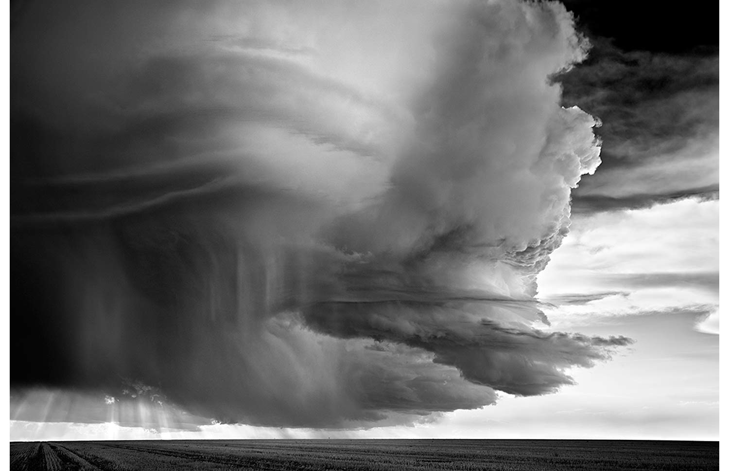 Mitch Dobrowner