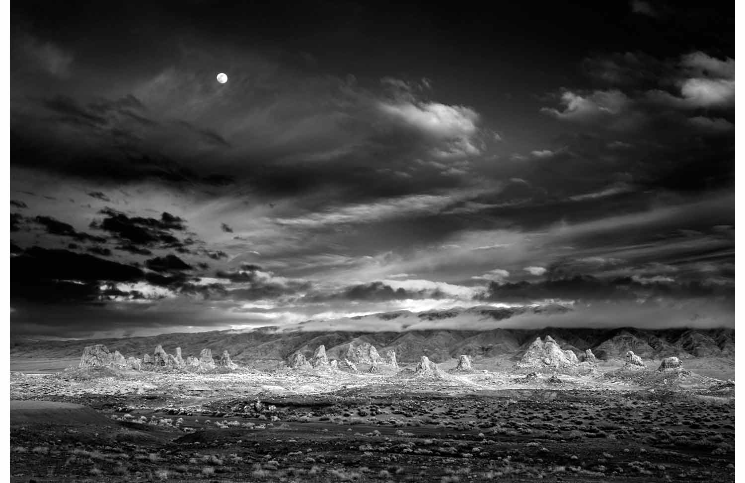 Mitch Dobrowner