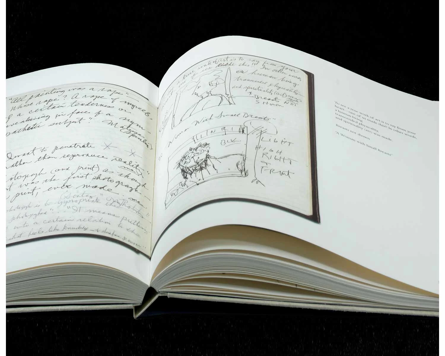 Witkin_JournalCloseup2.jpg