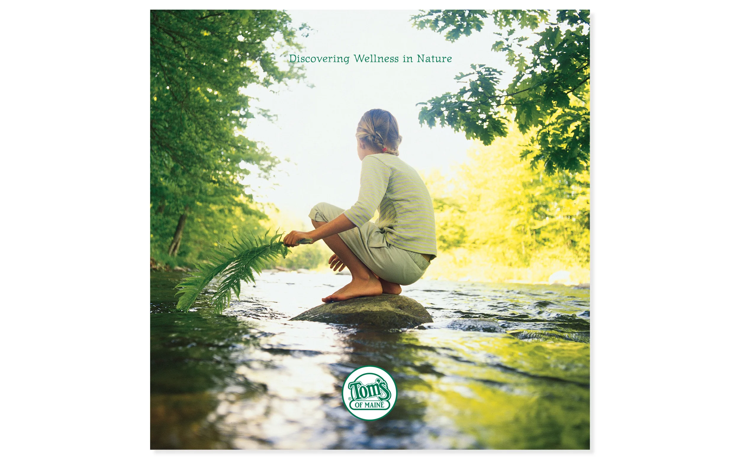 Toms of ME Cvr for SS3.jpg