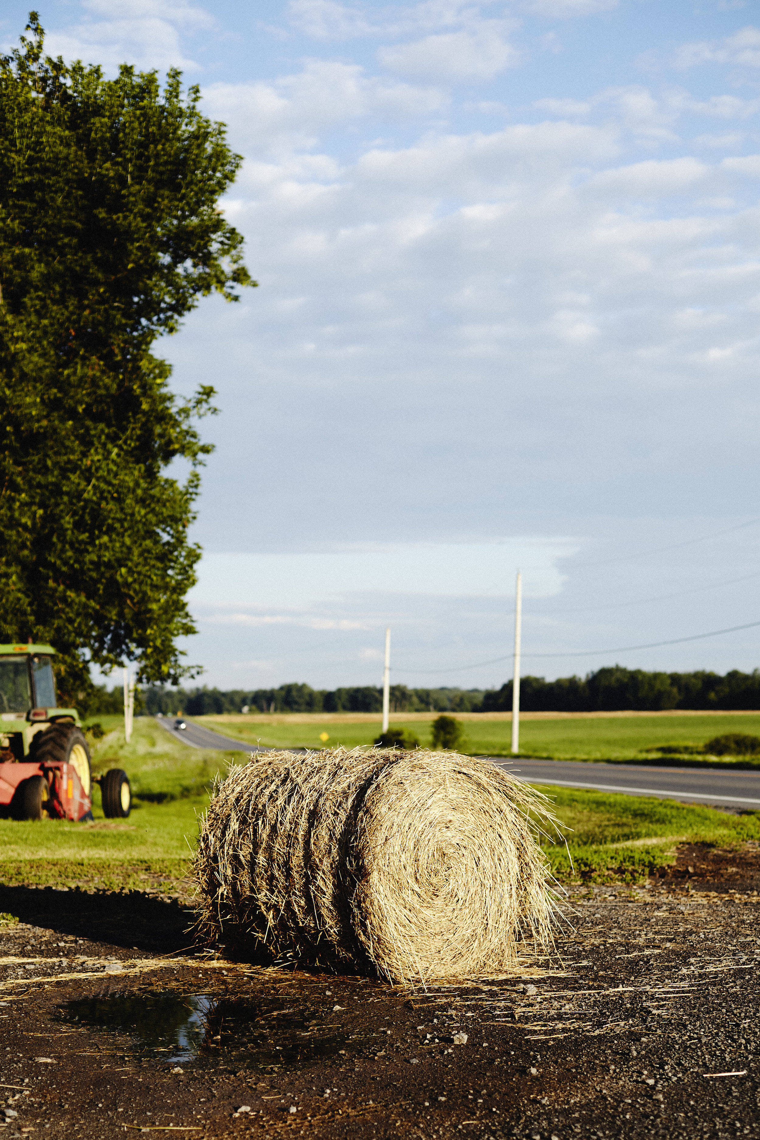 Farm_Chris_Lee_280.jpg