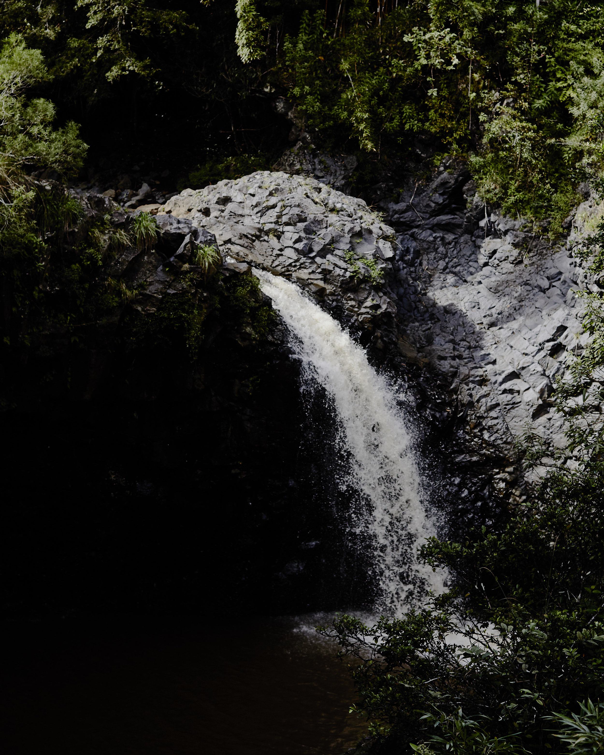 MAUI_1210.jpg