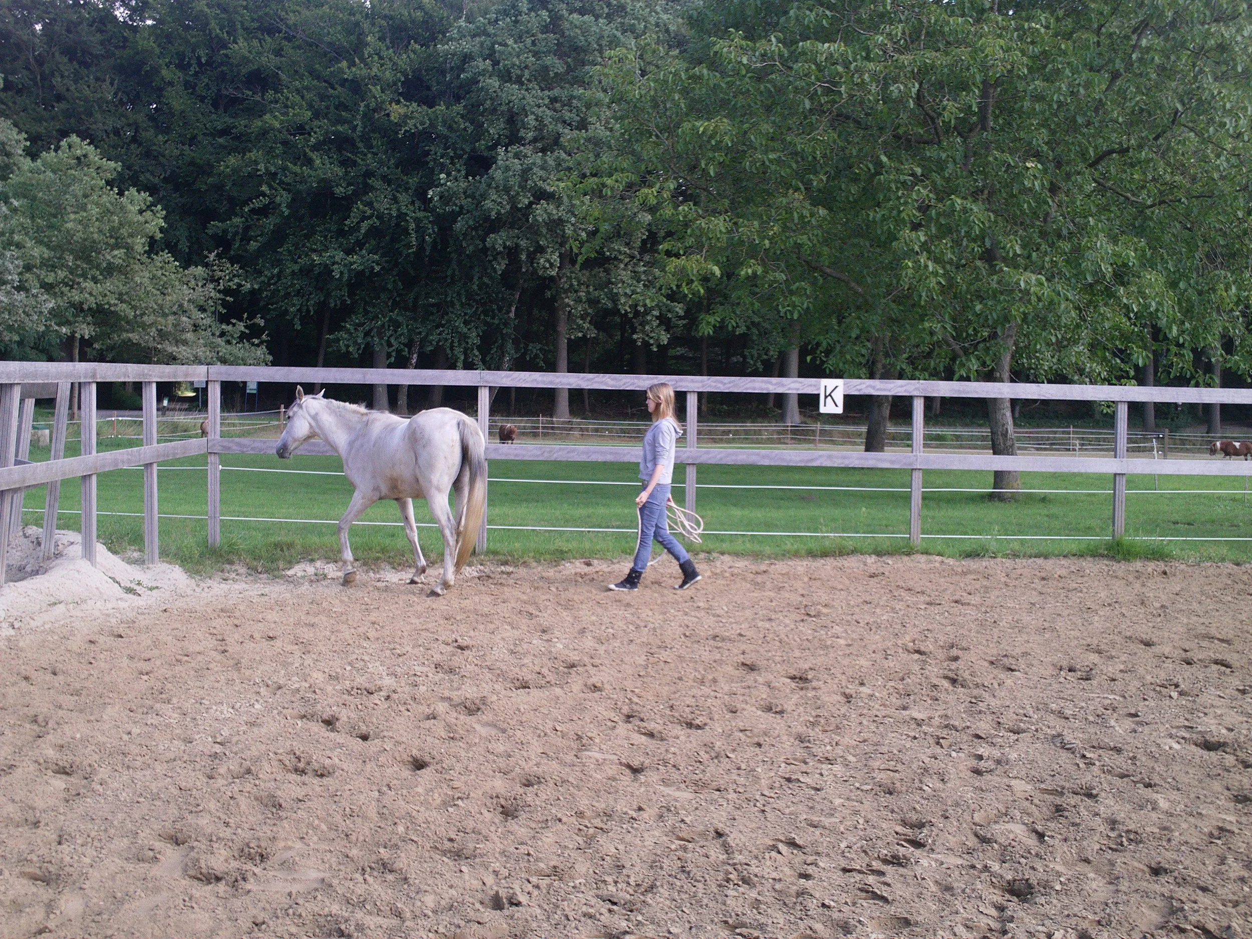 Met non verbale signalen richting aan het paard geven