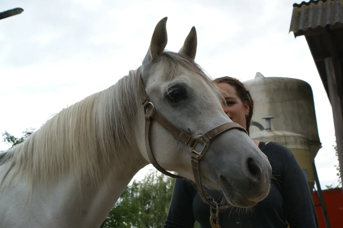 gitana1.jpg
